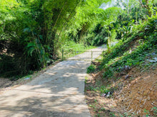 Load image into Gallery viewer, Bo. San Antonio, Sector El Salchichón, Caguas