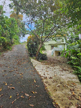 Load image into Gallery viewer, Opcionada Maricao, Vega Alta