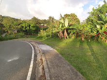 Load image into Gallery viewer, Solar, Barrio Guavate en Cayey