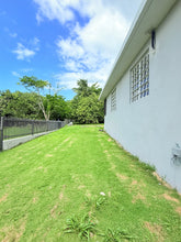 Load image into Gallery viewer, Opcionada Breñas en Dorado