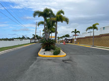 Load image into Gallery viewer, Vendida Isla de Roque Estates, Barceloneta