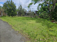 Load image into Gallery viewer, Opcionada Maricao, Vega Alta