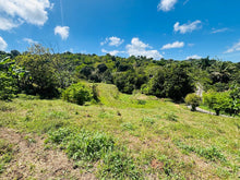 Load image into Gallery viewer, Solar Barrio Lirios, Juncos