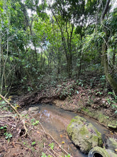 Load image into Gallery viewer, Terreno en Carruzos en Carolina(2.97 Cuerdas)