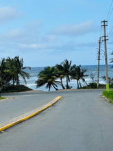 Load image into Gallery viewer, Vendida Isla de Roque Estates, Barceloneta