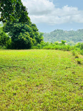 Load image into Gallery viewer, Bo. San Antonio, Sector El Salchichón, Caguas