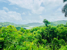 Load image into Gallery viewer, Bo. San Antonio, Sector El Salchichón, Caguas