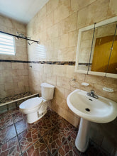 Load image into Gallery viewer, Vendida Victor Rojas 2, Arecibo