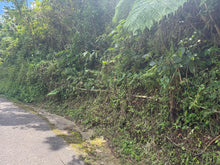 Load image into Gallery viewer, Barrio Perchas, Morovis