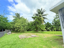 Load image into Gallery viewer, Opcionada Breñas en Dorado