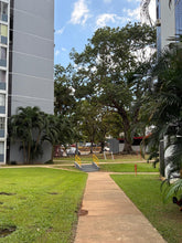 Load image into Gallery viewer, Opcionado Condominio Torres de Andalucía en San Juan