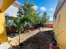 Load image into Gallery viewer, Vendida Victor Rojas 2, Arecibo