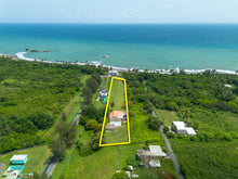 Load image into Gallery viewer, Palmas Altas, Barceloneta