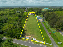 Load image into Gallery viewer, Palmas Altas, Barceloneta