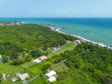 Load image into Gallery viewer, Palmas Altas, Barceloneta