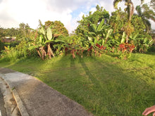 Load image into Gallery viewer, Solar, Barrio Guavate en Cayey