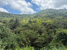 Load image into Gallery viewer, Barrio Perchas, Morovis