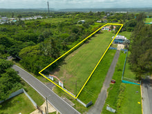 Load image into Gallery viewer, Palmas Altas, Barceloneta