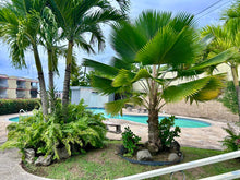 Load image into Gallery viewer, Vendido Veredas de Venus, San Juan