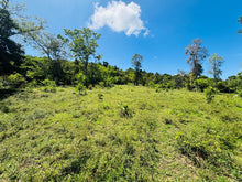 Load image into Gallery viewer, Solar Barrio Lirios, Juncos