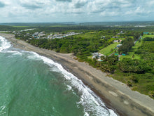 Load image into Gallery viewer, Palmas Altas, Barceloneta