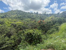 Load image into Gallery viewer, Barrio Perchas, Morovis