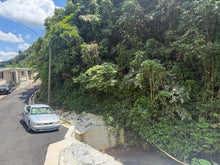 Load image into Gallery viewer, Barrio Perchas, Morovis