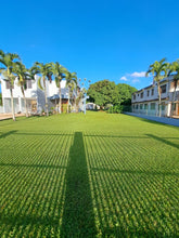 Load image into Gallery viewer, Vendida Urb. Haciendas del Caribe, Toa Alta