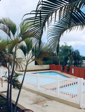 Load image into Gallery viewer, Park West, Bayamón