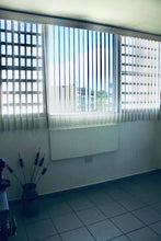 Load image into Gallery viewer, Park West, Bayamón