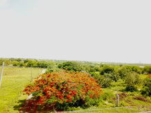 Load image into Gallery viewer, Sold Bo. Islote en Arecibo 1.10 Cuerdas