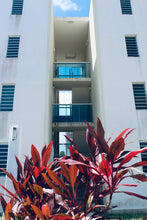 Load image into Gallery viewer, Park West, Bayamón