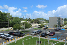 Load image into Gallery viewer, Park West, Bayamón