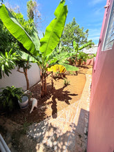 Load image into Gallery viewer, Vendida Membrillo Interior, Camuy
