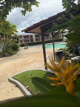 Load image into Gallery viewer, Vendido Veredas de Venus, San Juan
