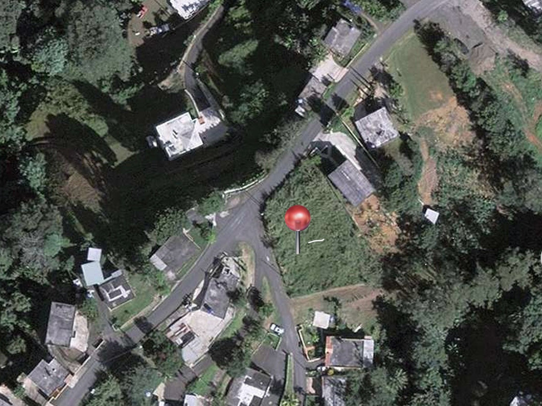 Terreno 1,324.98m2 en Naranjito
