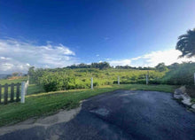 Load image into Gallery viewer, Yeguada, Camuy
