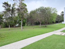 Load image into Gallery viewer, Balcones de Monte Real, Carolina
