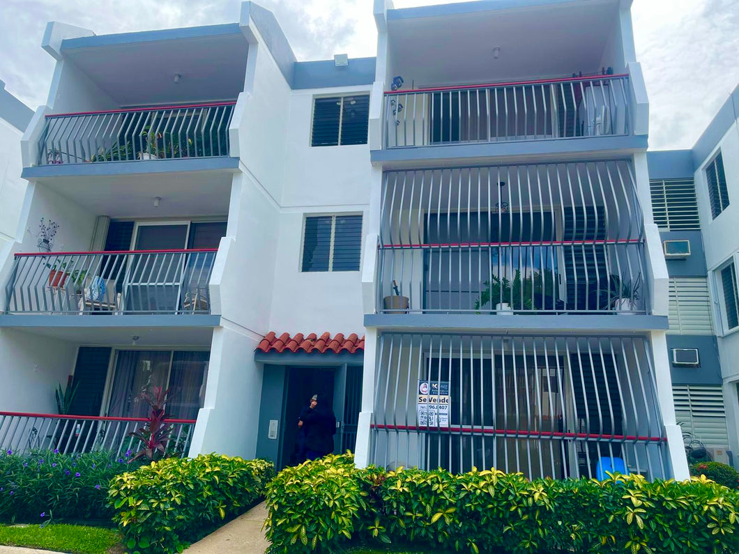 Vendido Veredas de Venus, San Juan