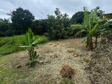 Load image into Gallery viewer, Barrio Daguao, Naguabo
