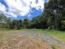 Load image into Gallery viewer, Terreno en Carruzos en Carolina(2.97 Cuerdas)
