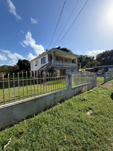 Load image into Gallery viewer, Opcionada Hato Arriba, Arecibo PR
