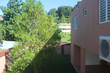 Load image into Gallery viewer, Sector Maldonado, Bayamón
