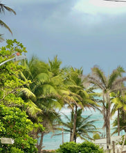 Load image into Gallery viewer, Cap del Mar entre Dorado y Vega Alta
